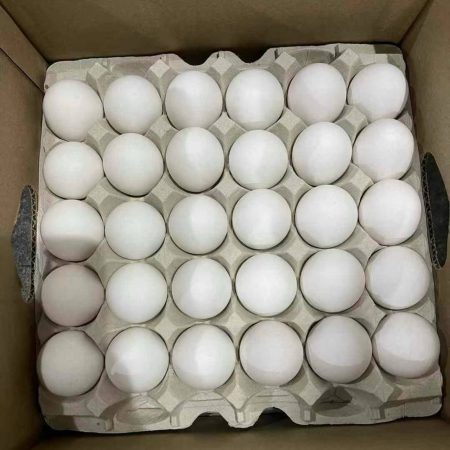 White eggs